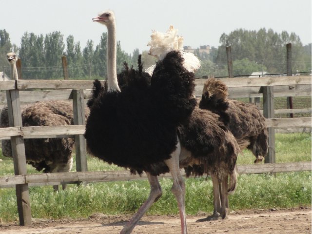 img03