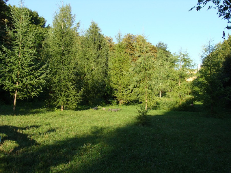img03