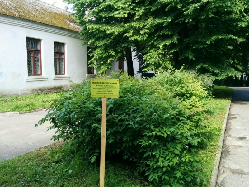 img03
