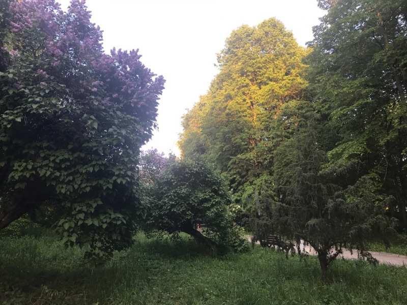 img03